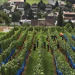 Schloss Weinstein * Marbach St Gallen
