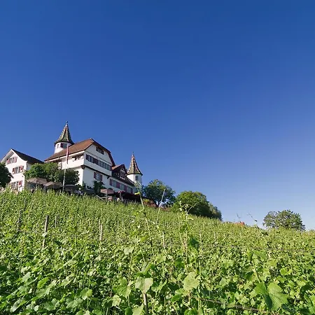 Otel Schloss Weinstein