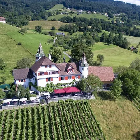 Schloss Weinstein Otel Marbach St Gallen