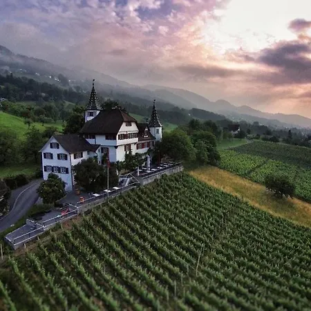 Otel Schloss Weinstein Marbach St Gallen