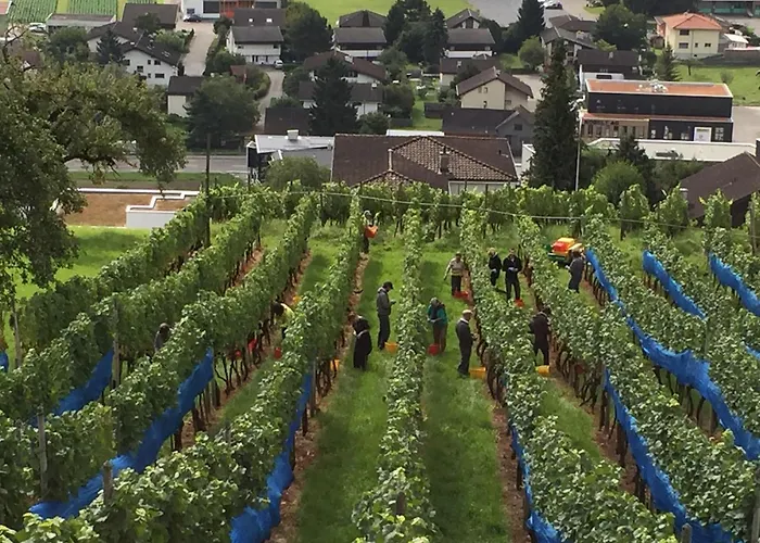 Schloss Weinstein * Marbach St Gallen