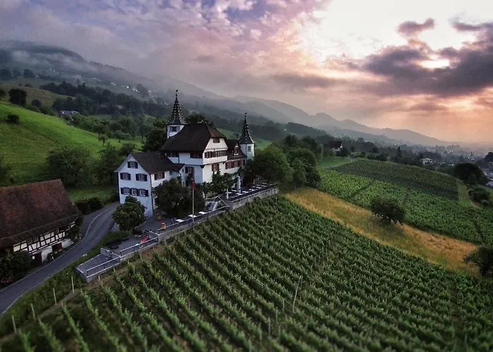 Otel Schloss Weinstein Marbach St Gallen