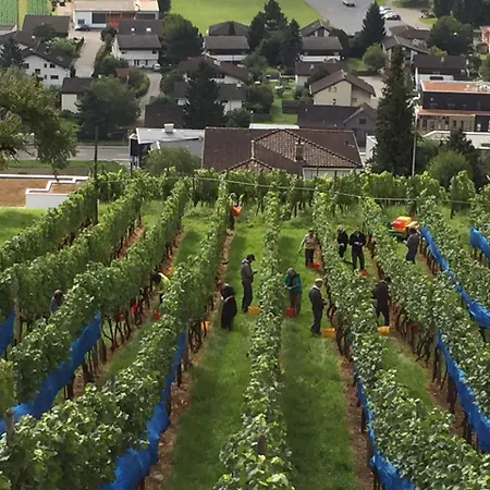 Schloss Weinstein * Marbach St Gallen