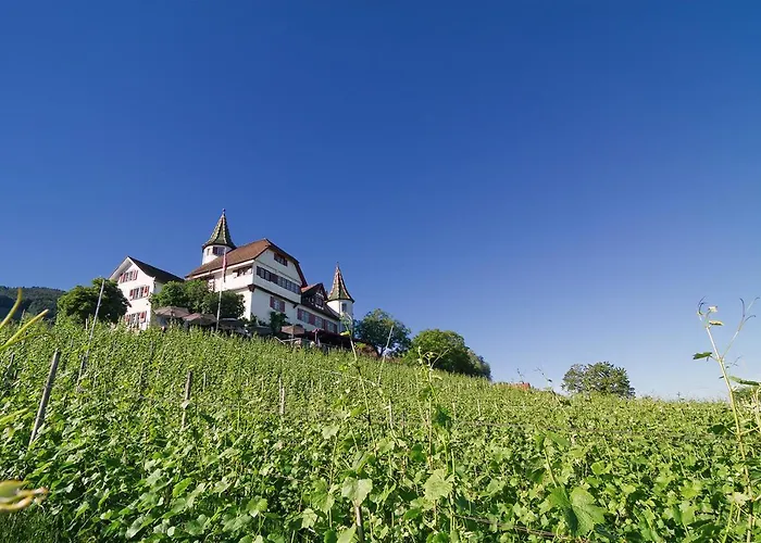 Hotell Schloss Weinstein