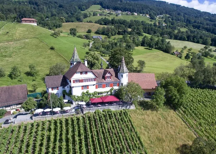 Schloss Weinstein Hotell Marbach St Gallen